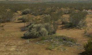 12792 Sheep Creek Rd, Phelan, CA