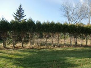 4200 Kinglet Cir, Wausau, WI 54401-7485