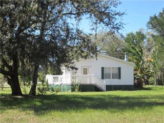9807 Ray St, Port Richey, FL 34669-3886
