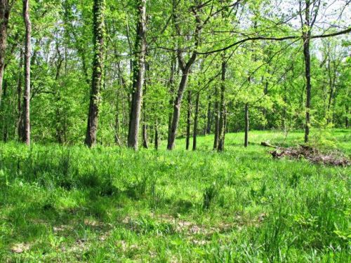 57 Cathcart Rd, Dowelltown, TN 37059