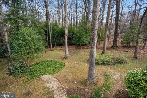 2509 Goldcup Ln, Herndon VA 20191-4220 exterior