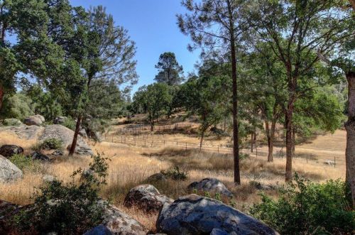 14804 Oak Ridge Rd, Lake Wildwood CA  exterior