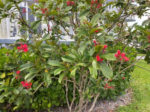 165 Camden G, West Palm Beach FL  33417-2023 exterior