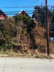 315 Lobinger Ave, Rankin, PA 15104-2124