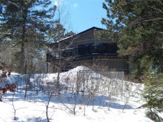 20092 Cypress Dr, Morrison, CO 80465-2318