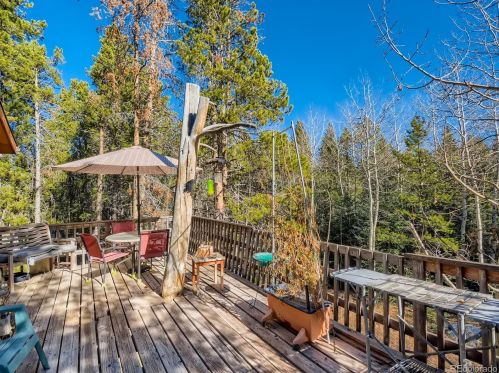 32131 Steven Way, Conifer CO  80433-8822 exterior