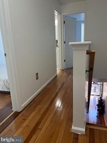 3442 Hope St, Philadelphia PA  19140-4617 exterior