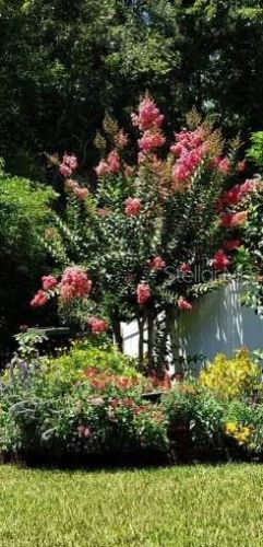 9320 Black Thorn Loop, Land O Lakes FL  34638-2530 exterior