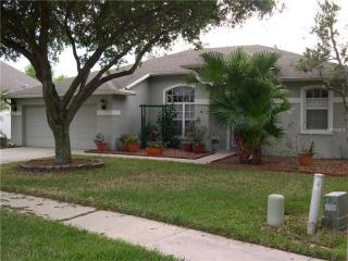 8627 Torchwood Dr, New Port Richey, FL 34655-5334