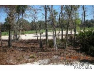 3845 Shadow Creek Loop, Lecanto, FL 34461-6926