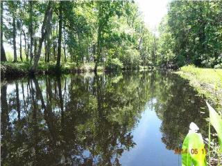 334 Castlebury Rd, Walterboro, SC 29488-7250