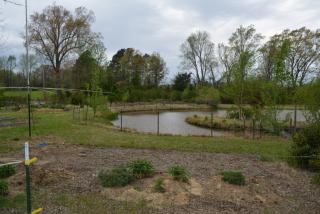 2510 Wirt Rd, Somerville, TN 38060-3337