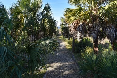 1017 Pne Ave, Saint George Island FL  32328-2416 exterior