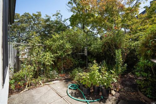 14 Park Ter, Mill Valley CA  94941-2946 exterior