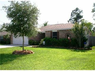 16372 River Fall Ct, Conroe, TX 77302-5538