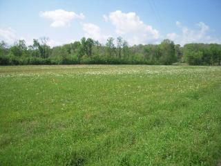 5613 Cerro Gordo Rd, Olivehill, TN 38475-9012