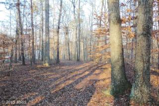 11511 Forest Walk Dr, Spotsylvania VA  22551-7919 exterior