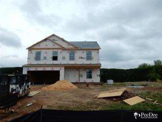 3098 Wild Turkey Dr, Effingham, SC 29541-4718