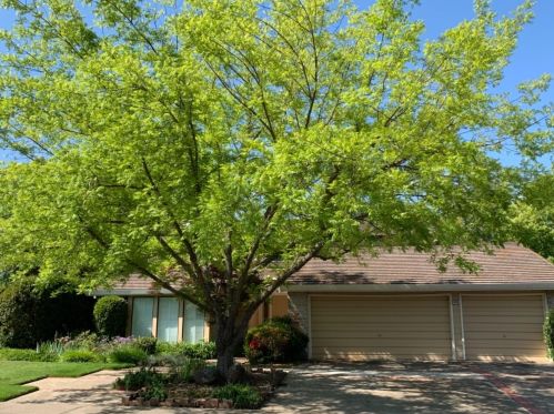 14996 Guadalupe Dr, Rancho Murieta CA  95683-9425 exterior