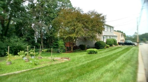 3 Gale Ct, North Providence RI  02904-1035 exterior