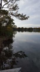 7980 Twin Lake Dr, Milton FL  32583-2441 exterior