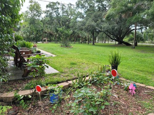 15404 Morris Bridge Rd, Thonotosassa FL  33592-2236 exterior