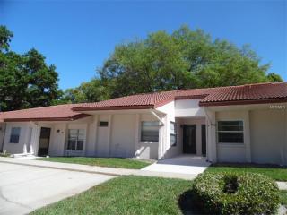 1133 Montrose Pl, Dunedin, FL 34698-7318
