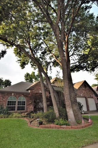 2012 Shumard Ln, Lewisville TX  75028-7621 exterior