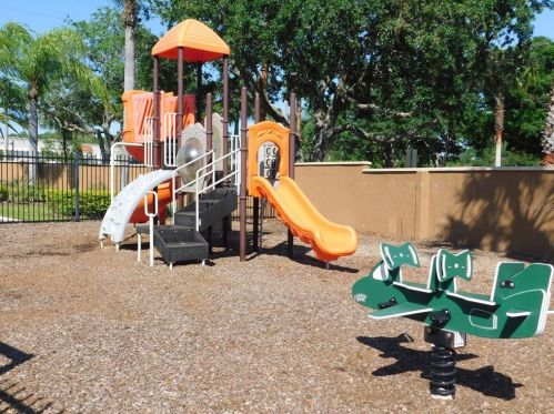 1613 Gray Bark Dr, Oldsmar FL  34677-2766 exterior