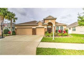 12613 Avelar Creek Dr, Riverview FL  33578-7624 exterior