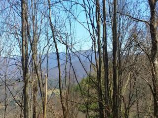 59 Katies Ridge Dr, Asheville, NC 28804-8820