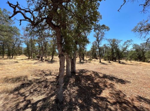 6321 Upper Palermo Rd, Oroville CA  95966-9017 exterior