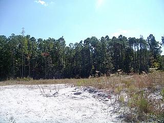 105 Cone Cir, Newport, NC 28570-9055