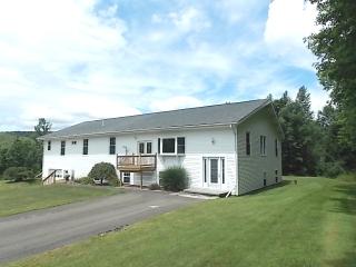 1205 Tracy Creek Rd, Vestal, NY