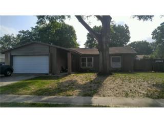 605 Bryan Terrace Dr, Brandon, FL 33511-7561
