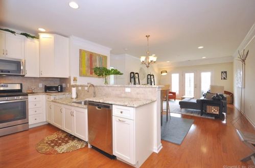 113 Center Meadow Ln, Danbury CT  06810 exterior