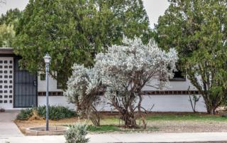 4934 Highland Dr, Tucson, AZ 85706-1409