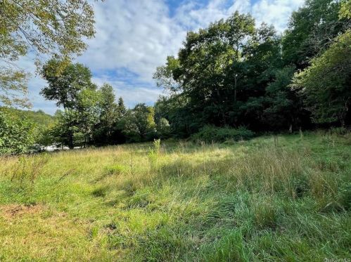 1556 Shandelee Rd, Lew Beach NY  12758-7534 exterior