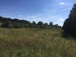 13101 Birchwood Pike, Harrison, TN 37341-7919