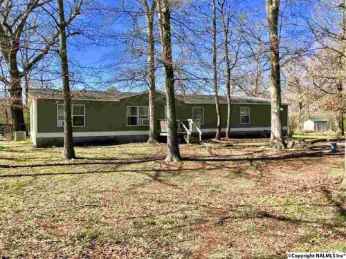 39 Independent St, Horton, AL 35980-5903