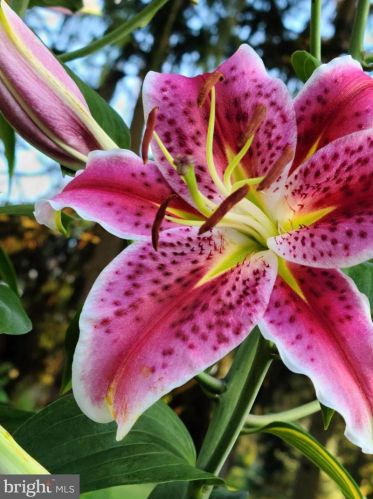 1139 Wilson Ave, Glen Mills PA  19342-9610 exterior