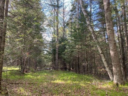 44980 Cable Lake Rd, Cable, WI 54821-4957