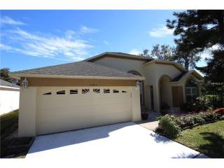 11955 Cheltinham Dr, Orlando, FL 32824-6042