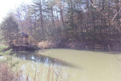 547 T Johnson Hollow Rd, Beattyville, KY 41311-9538