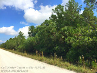 3506 Dellwood Rd, Town Of Loxahatchee Groves, FL 33470-2445