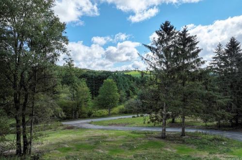 271 Schwartz Rd, Callicoon, NY 12723-5727