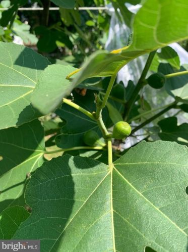 546 Orange St, Lancaster PA  17603-3669 exterior