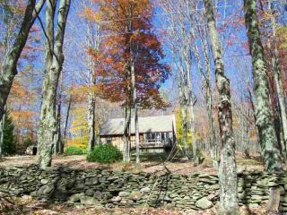 171 Gray Rd, Summit, NY 12175-1810