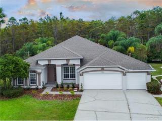 14812 Via Winghurst Ct, Orlando, FL 32828-8067