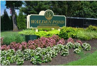 1400 Weeping Willow Dr, Lynchburg VA  24501-3961 exterior